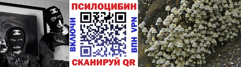 Псилоцибиновые грибы ЛСД Мурманск