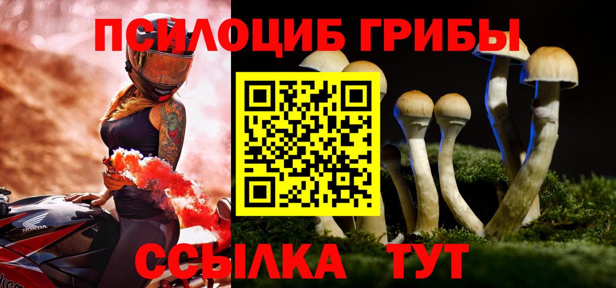 Галлюциногенные грибы ЛСД  Галлюциногенные грибы Psilocybine cubensis  наркотики  Мурманск  Вход с VPN 